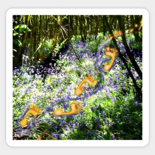 Footprints in a Bluebell Wood Sticker